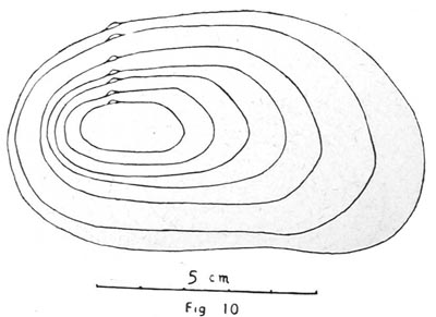 specimen image from publication