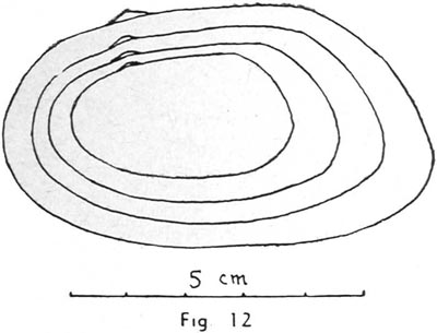 specimen image from publication