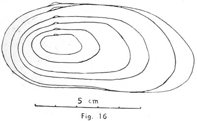 specimen image from publication