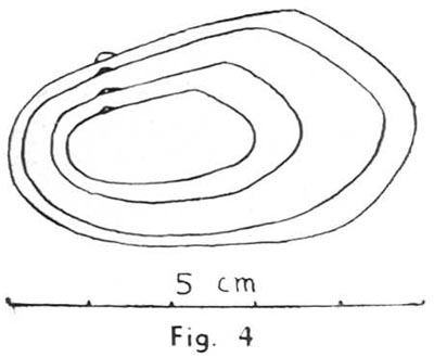 specimen image from publication