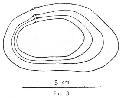 specimen image from publication