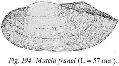 specimen image from publication