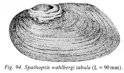 specimen image from publication