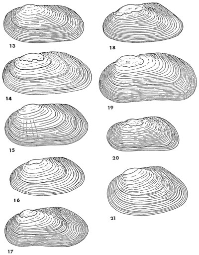 specimen image from publication