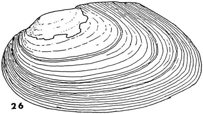 specimen image from publication