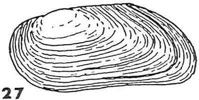 specimen image from publication