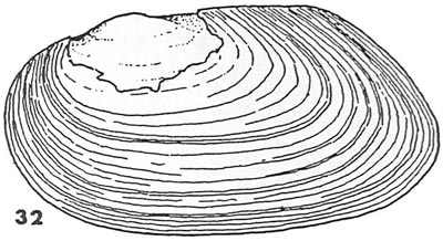 specimen image from publication