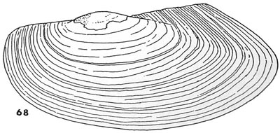 specimen image from publication