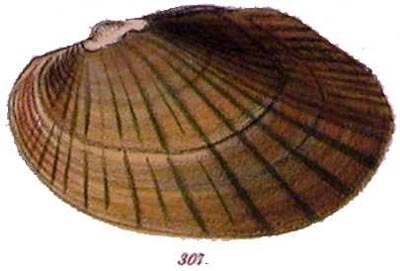 specimen image from publication