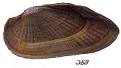 specimen image from publication