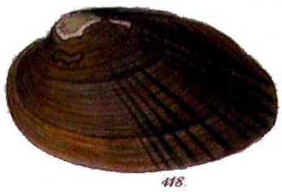specimen image from publication