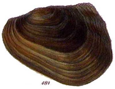 specimen image from publication