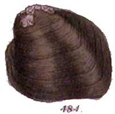 specimen image from publication