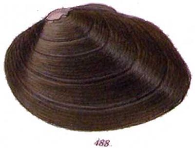 specimen image from publication