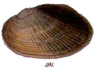 specimen image from publication