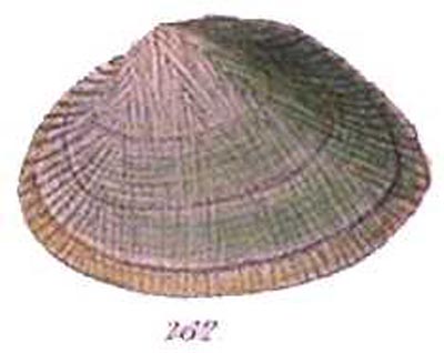 specimen image from publication