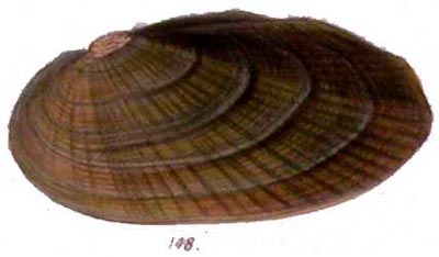 specimen image from publication