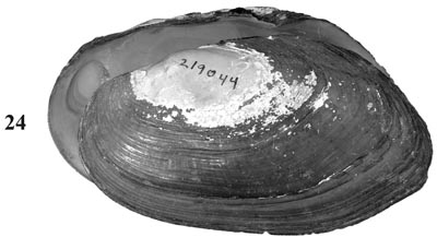 specimen image from publication