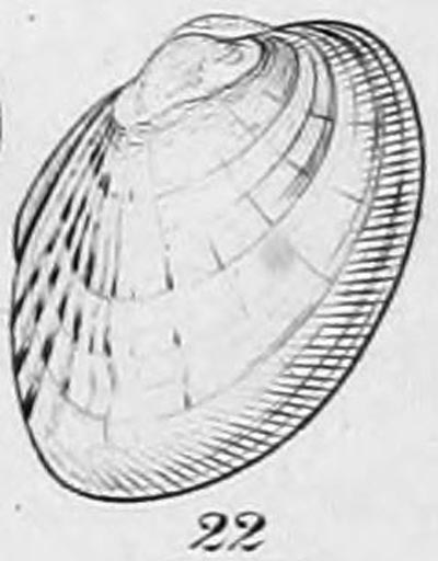 specimen image from publication