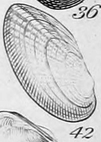 specimen image from publication