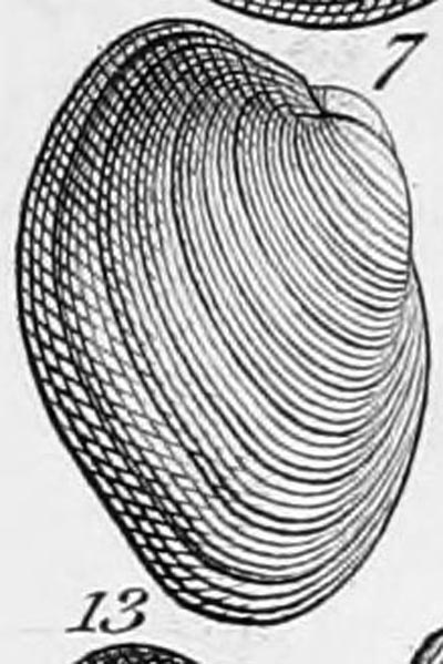 specimen image from publication