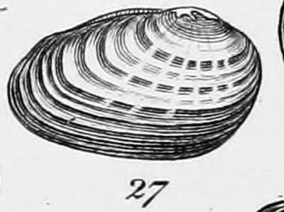 specimen image from publication
