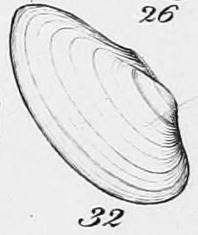 specimen image from publication