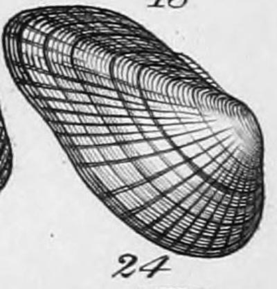 specimen image from publication