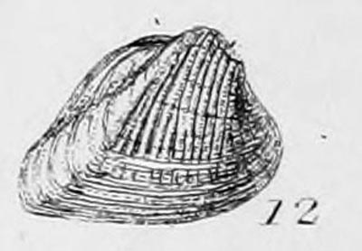 specimen image from publication