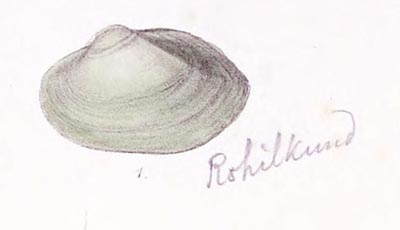specimen image from publication