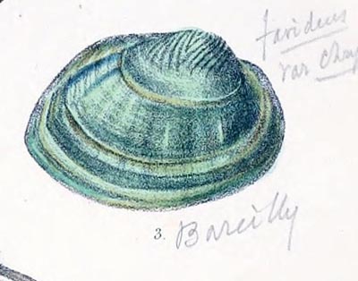 specimen image from publication