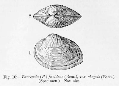 specimen image from publication