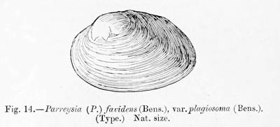 specimen image from publication