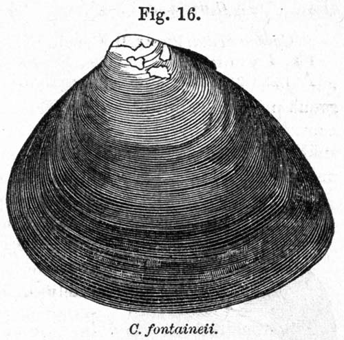 specimen image from publication