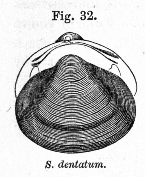 specimen image from publication