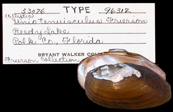 specimen