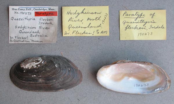 specimen