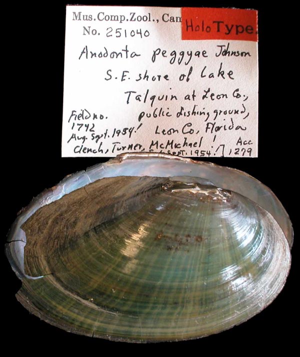 specimen