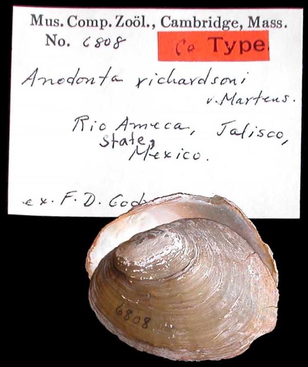 specimen
