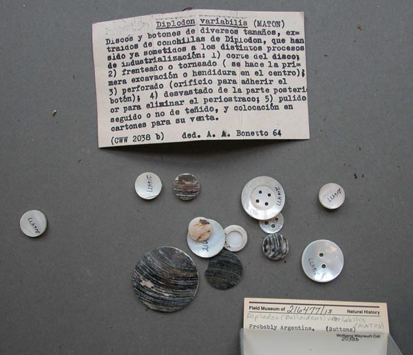 specimen
