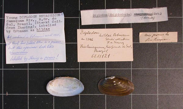 image of lot CM_61.11121 image of lot CM_61.11121