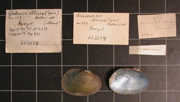 image of lot CM_61.2034 image of lot CM_61.2034