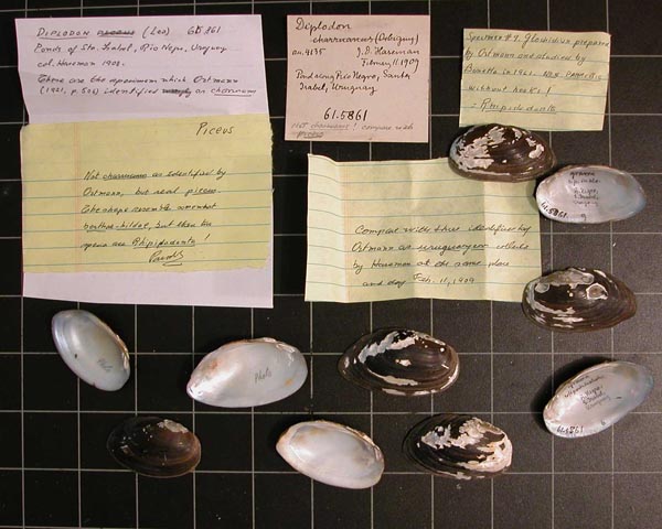 image of lot CM_61.5861 image of lot CM_61.5861