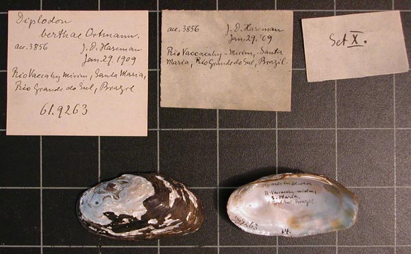 image of lot CM_61.9263 image of lot CM_61.9263