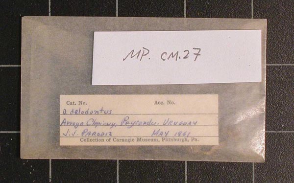specimen