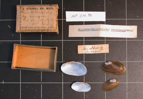 image of lot CM_MP_44 image of lot CM_MP_44