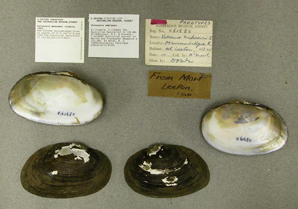 specimen