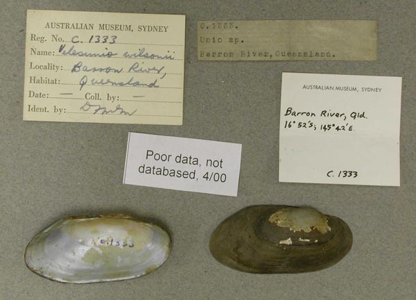 specimen