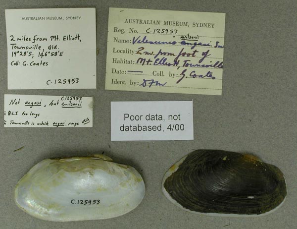 specimen