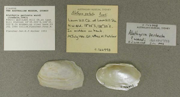 specimen